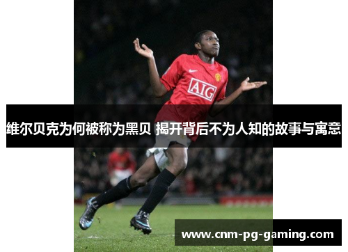 维尔贝克为何被称为黑贝 揭开背后不为人知的故事与寓意