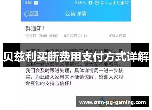 贝兹利买断费用支付方式详解